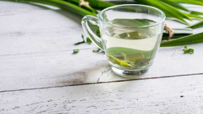 Manfaat Daun Pandan Wangi Sebagai Obat dengan Cara Direbus