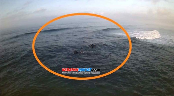 Nelayan pintur tengah mencari udang karang jenis lobster di laut, tepatnya di wilayah Desa Bagolo, Kalipucang, Kabupaten Panganadran.