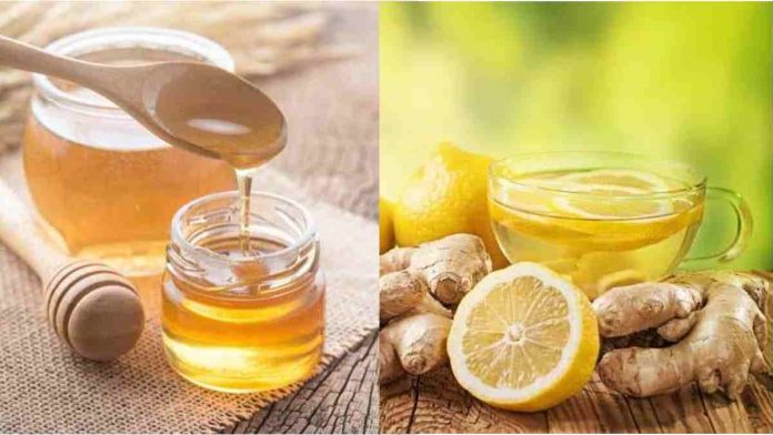 Obat Batuk Alami di Sekitar Kita