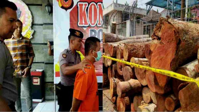 PEMBALAKAN LIAR