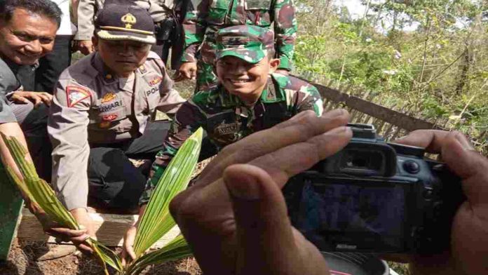 Pohon Kelapa Penyelamat panji Siliwangi