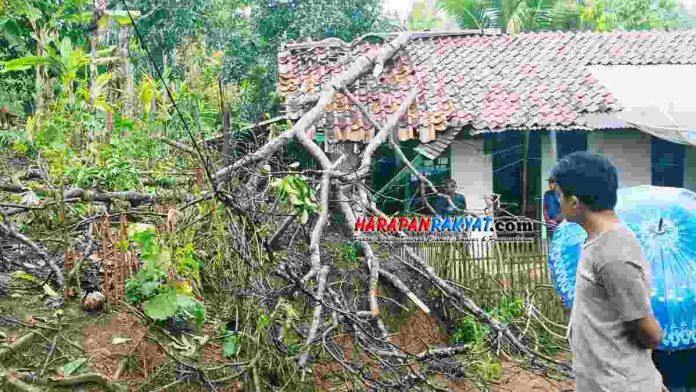 Pohon Tumbang Timpa Rumah