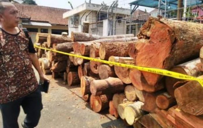 Soal Hutan, Walhi Jabar Minta Komitmen Pemda Pangandaran