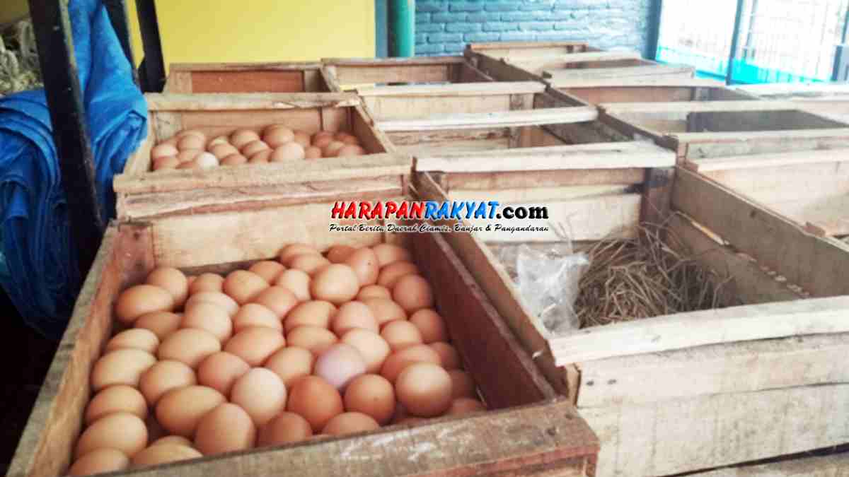 Jelang Nataru Harga  Telur  Ayam  di  Pasar Ciamis Naik Capai 