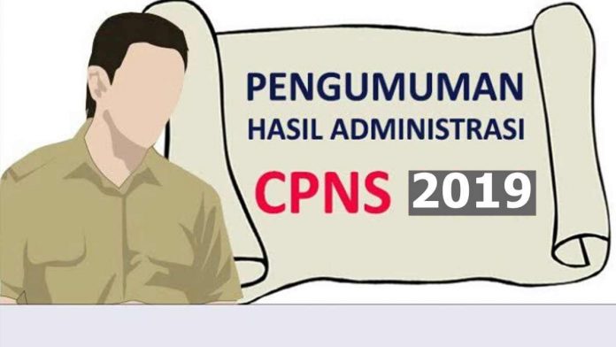 pengumuman hasil seleksi cpns 2019