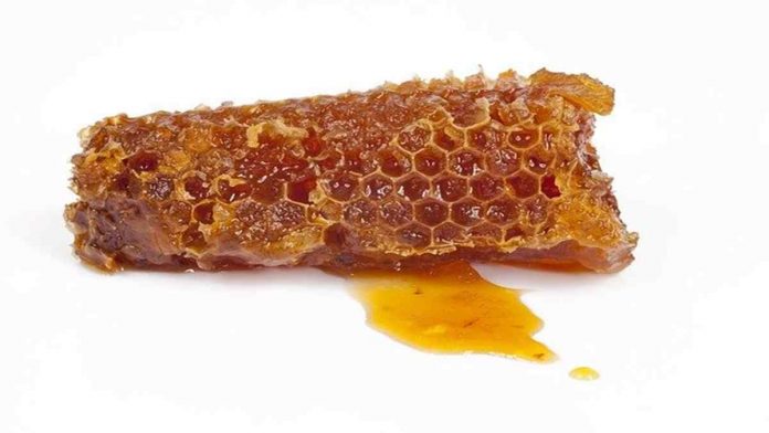 Manfaat Propolis