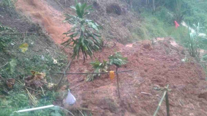 Diguyur Hujan Deras, Desa Langkaplancar Pangandaran Diterjang Longsor