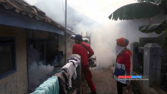 Fogging terdampak DBD