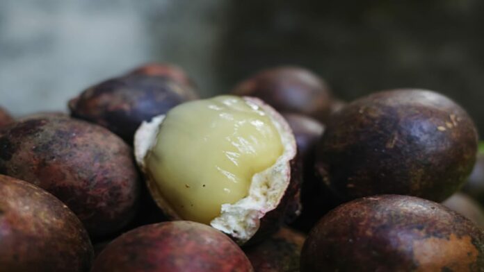 Efek Samping Buah Matoa yang Perlu Anda Waspadai
