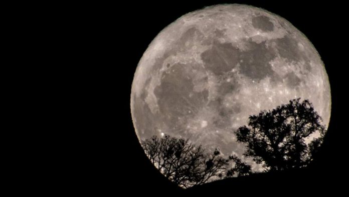 Fenomena Bulan Serigala Penuh