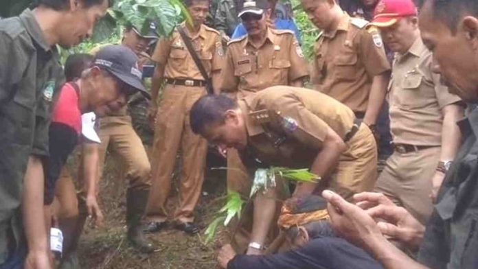 Lestarikan Alam, 300 Pohon Aren Ditanam di Kaki Gunung Sawal Ciamis