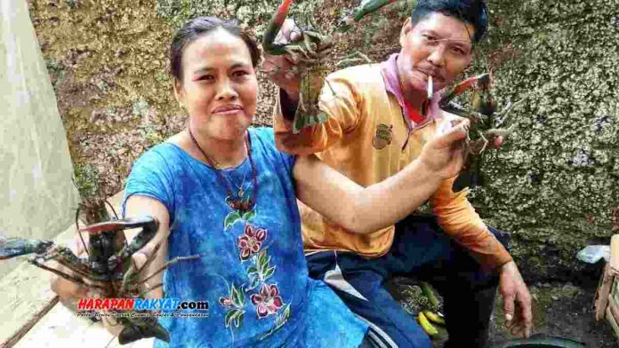 Nelayan penangkap lobster air tawar di Desa Rejasari, Kecamatan Langensari, Kota Banjar