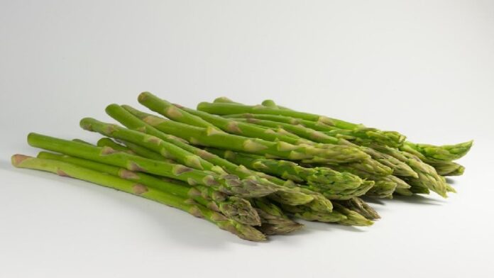 Manfaat Sayur Asparagus yang Kaya Akan Vitamin dan Nutrisi