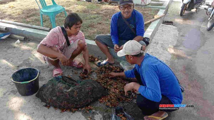 Pencari Kerang Batak Pangandaran