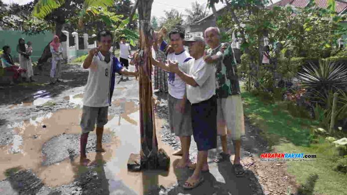 Tanami Pohon Pisang