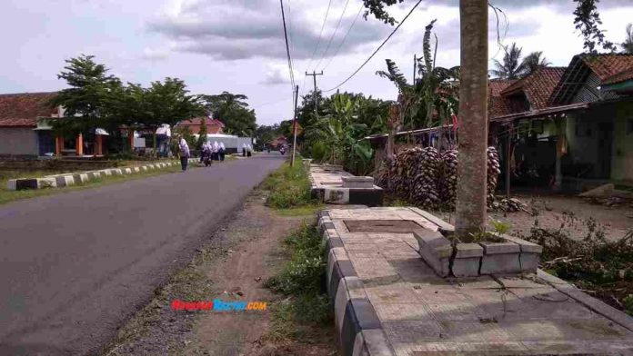 Pot di tengah trotoar