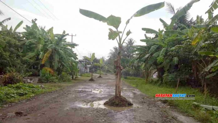 Protes Jalan rusak