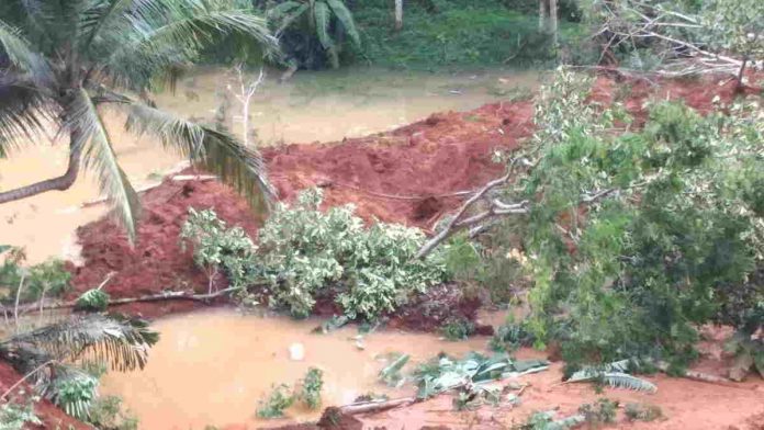 Tiga Hektare Sawah di Desa Rawa Ciamis Terdampak Longsor