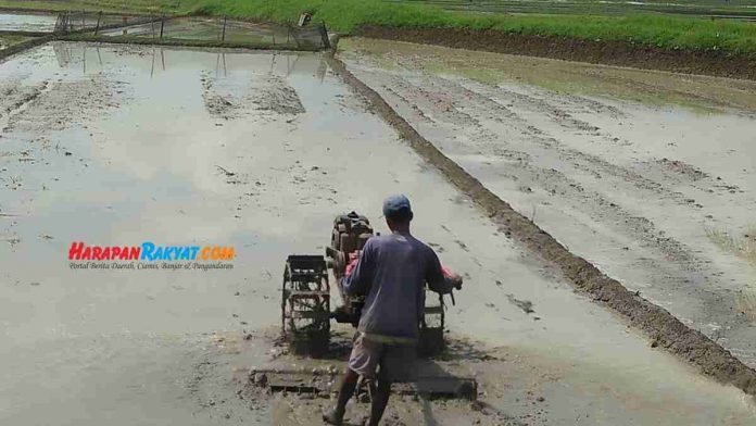 traktor di Pangandaran