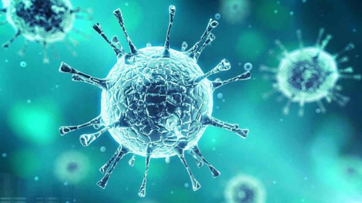 Virus Purba Pithovirus Sibericum, Benarkah Akan Hidup Kembali? - Harapan  Rakyat Online
