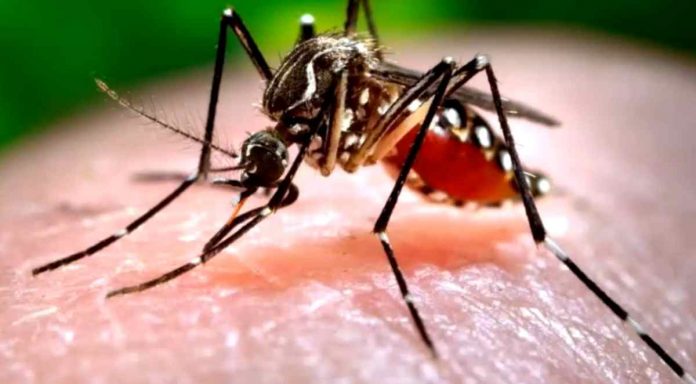 Menanggapi adanya tudingan lamban dalam mengantisipasi wabah demam berdarah dengue (DBD), Sekretaris Dinas Kesehatan (Dinkse) Kabupaten Ciamis, H. Maman, mengatakan, bahwa pihaknya sudah jauh-jauh hari memberikan pemahaman kepada masyarakat menegnai cara hidup sehat.