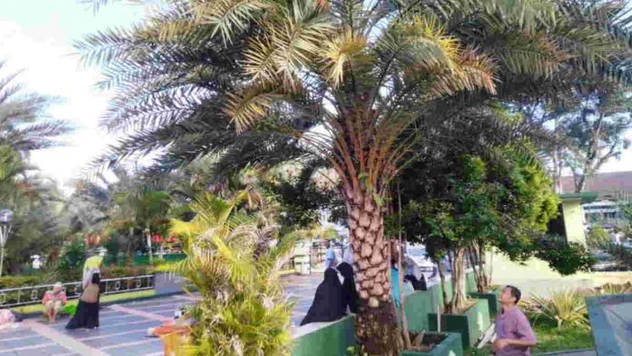 Mesjid Agung Ciamis