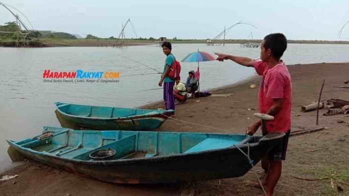 Buaya Muara di Sungai Citonjong