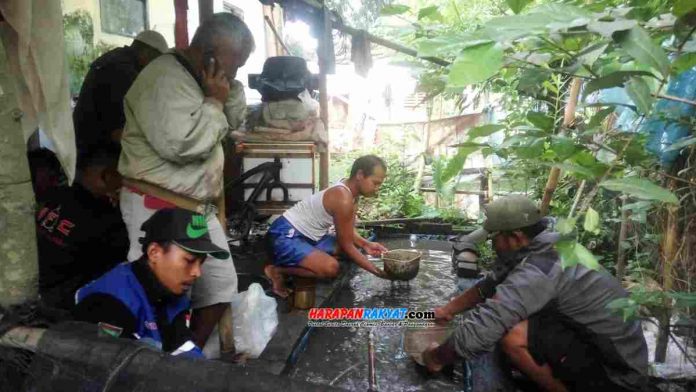 Para peternak budidaya pembibitan ikan lele saat antri mendapatkan Cacing Sutra.