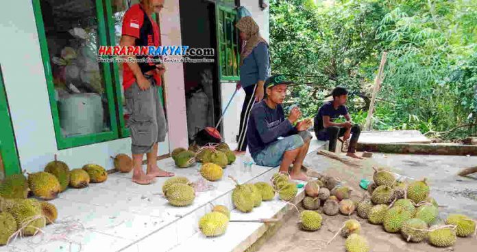Durian