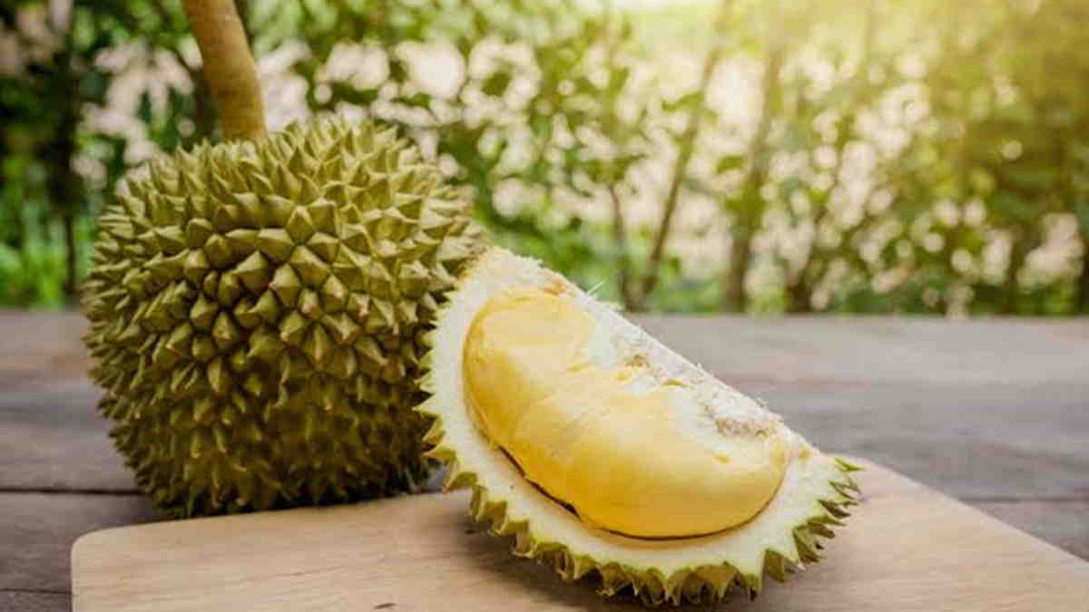 jenis durian paling mahal