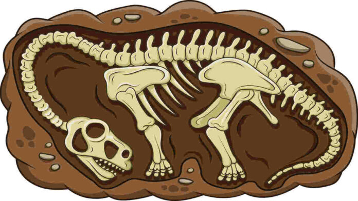 Fosil Dinosaurus di Indonesia Tidak Pernah Ditemukan, Ini Alasannya!