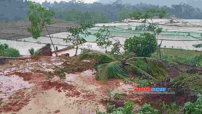 Terdampak Longsor