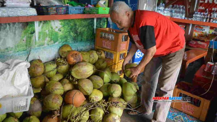 Minuman Kelapa Muda