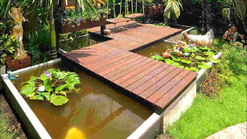 Kolam Ikan Minimalis