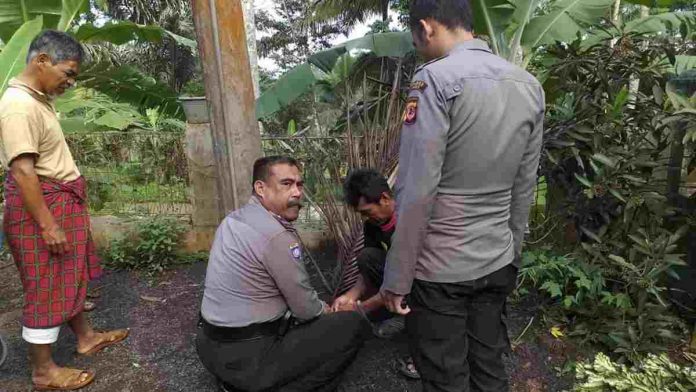 mortir Zaman Perang