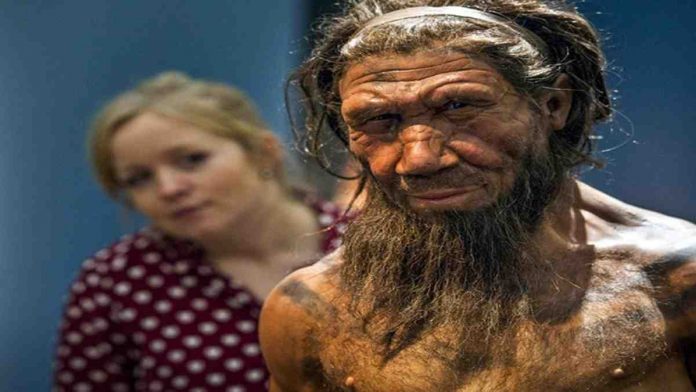penemuan gen neanderthal di populasi afrika