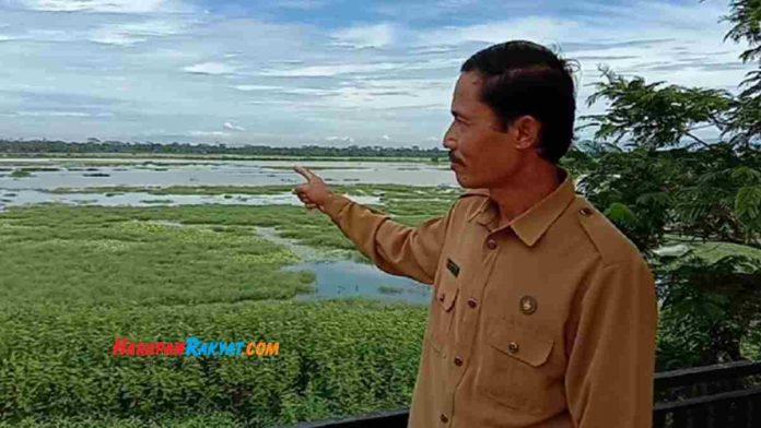 pesawahan di pangandaran banjir