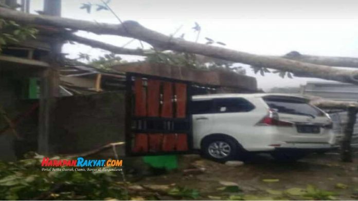 Rumahnya Tertimpa Pohon, Warga Kedungwuluh Pangandaran Rugi Puluhan Juta