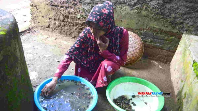 Bisnis Tutut