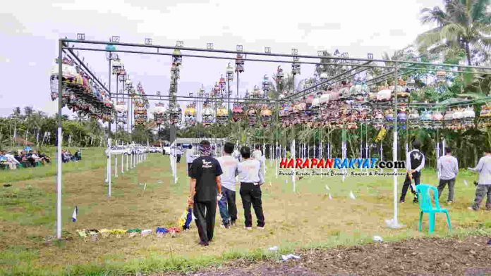 liga perkutut ciamis