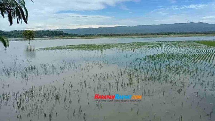 petani di Pangandaran