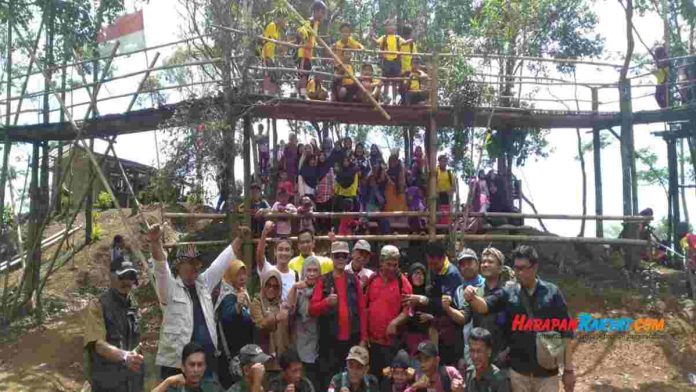 pohon kawung