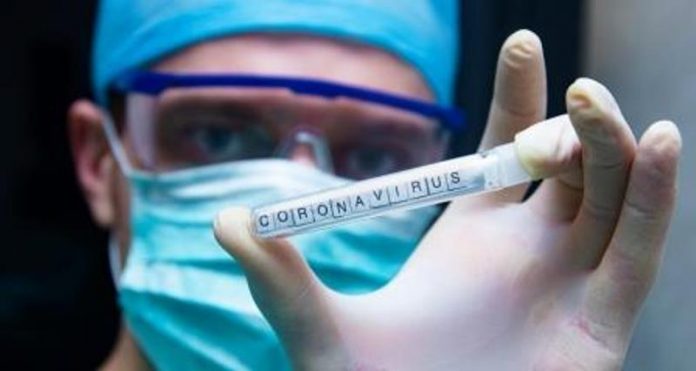 Asal Usul Virus Corona