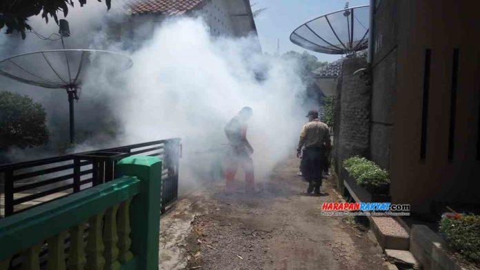 Demam Dengue