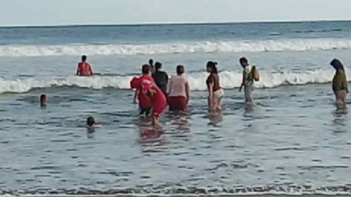 Fenomena Munculnya Keong Laut di Pantai Pangandaran Jadi Buruan Warga