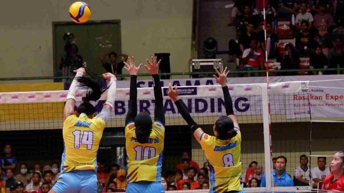 Kompetisi Bola Voli Proliga 2020 Dihentikan