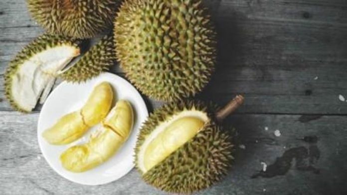 Manfaat Durian Buat Kecantikan