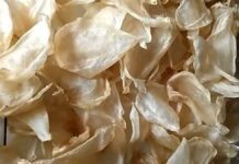 Manfaat Gelembung Ikan