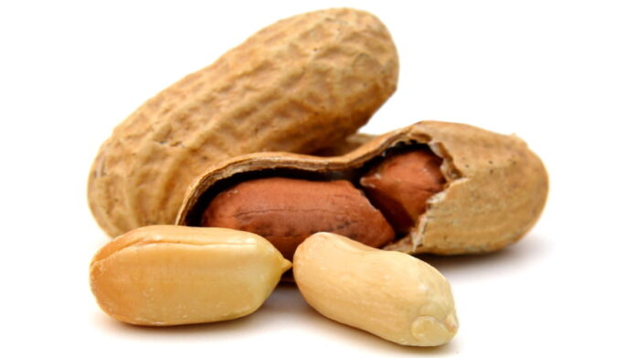 Manfaat Kacang Tanah, Sumber Protein dan Lemak Sehat