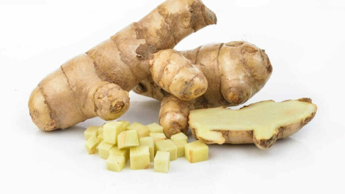 Manfaat Kunyit Putih, Herbal untuk Kesehatan dan Kecantikan